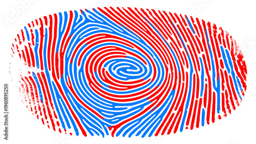 Closeup of single black fingerprint on white background, identification and security concept, biometric scan