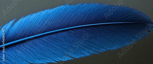 Close-Up of a Vibrant Blue Feather Showcasing Intricate Details and Texture Against a Dark Background