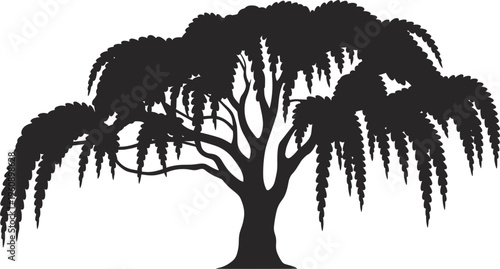 Weeping willow tree silhouette, ornamental nature plant landscape decorative botanical illustration design