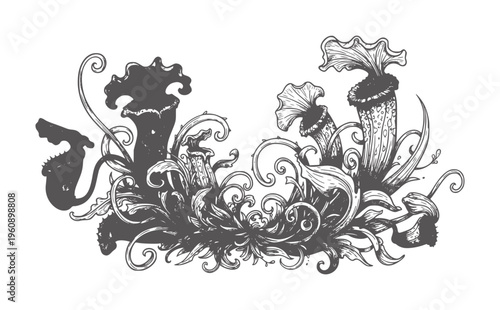 Ornate black and white intricate floral and vine with swirling tendrils