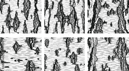 Birch tree bark texture set with detailed natural patterns wood surface backgrounds and organic line illustration collection