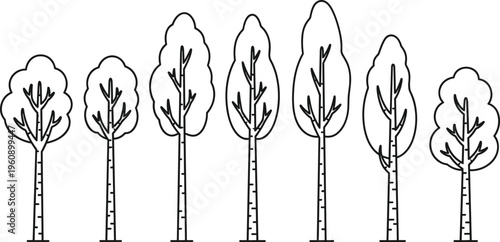 Minimal line tree set with different shapes tall trunks and foliage outline nature vector illustration collection