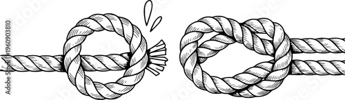 Detailed rope knots breaking apart and secure a white background strong