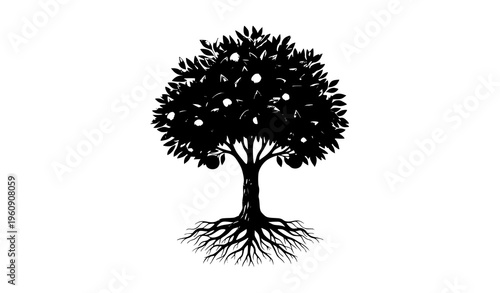 Orange Tree with Roots and Fruits – Detailed Citrus Plant Vector Illustration Isolated on White