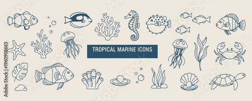 Tropical marine life icons, Exotic sea animals and fish, Underwater coral and seahorse doodles, Nautical ocean nature graphics, Aquatic wildlife hand-drawn elements, Marine biology education sketches,
