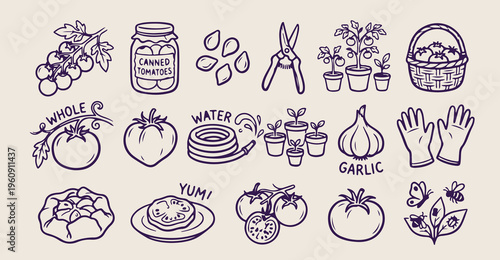 Sustainable home garden doodles, hand drawn tomato and garlic sketches, organic vegetable patch icons, backyard canning and preserving elements, whimsical kitchen garden clip art, grow your own food s