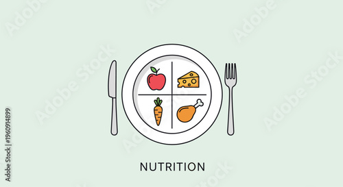 Balanced meal nutrition concept showing a plate divided into four sections with an apple, cheese, carrot, and chicken leg.