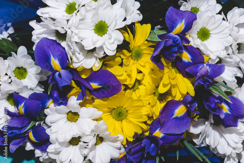 Beautiful fragrant bouquet with white and yellow chrysanthemums, and blue irises.