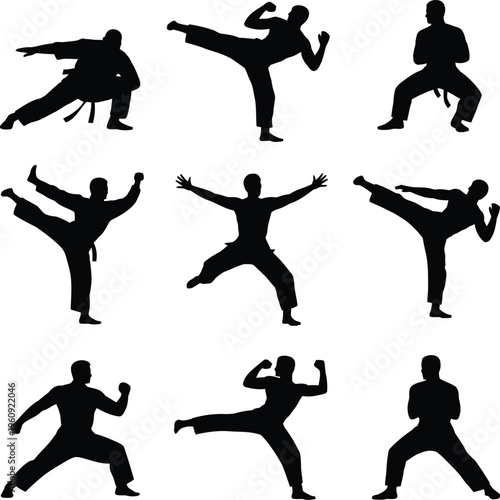 Silhouettes of Martial Arts Fighters in Dynamic Poses on White Background 