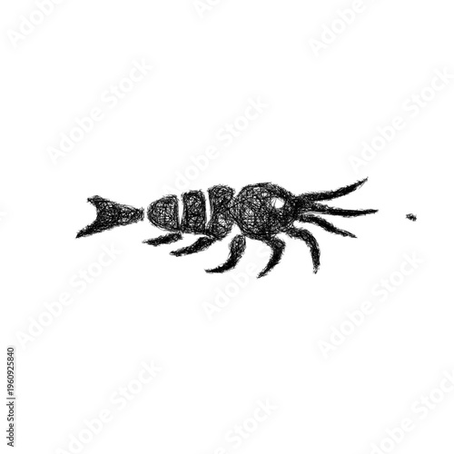 Sketch krill icon design