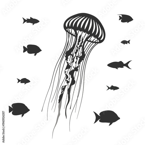 Black and white jellyfish illustration.