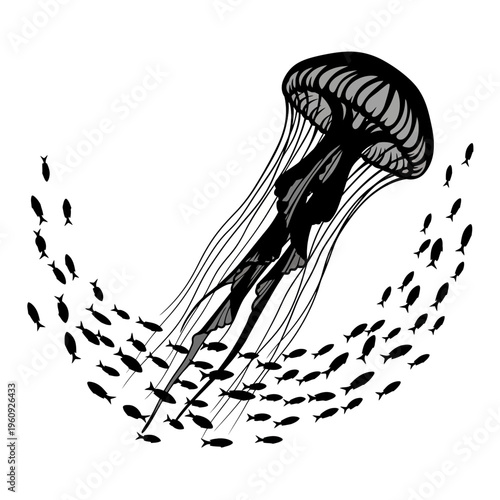 Black Jellyfish Swimming in Ocean Water.