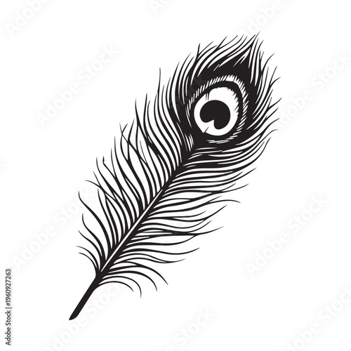 A detailed black and white vector illustration of a peacock feather with an eye-like pattern on a plain white background.