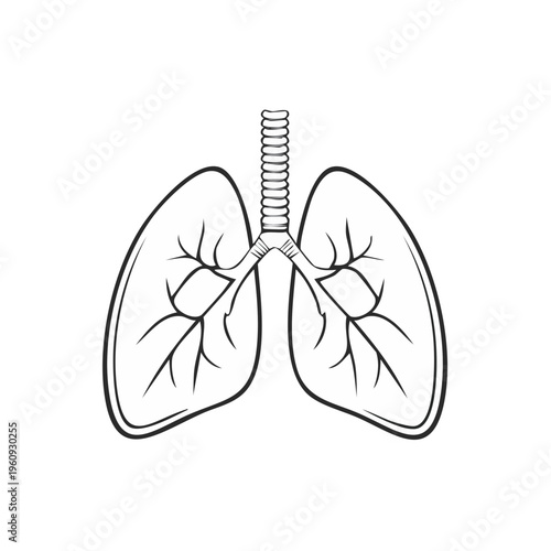 Line art illustration of human lungs with trachea in black and white outline style