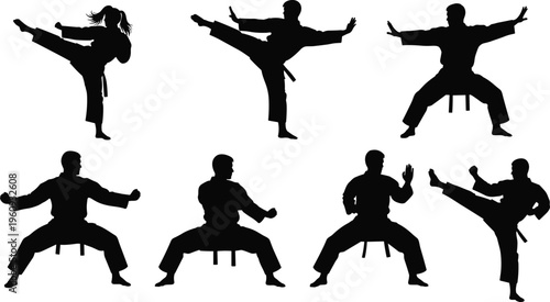 Silhouette martial arts figures in dynamic stances and kicks, symbolizing discipline, strength, combat training, and traditional practice