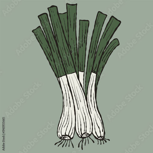 Rustic Artisan Leek Vegetable Hand-Drawn Illustration. Organic Garden Produce for Bistro Menus, Gourmet Culinary Branding, and Farm-to-Table Graphics. Muted Sage Green Palette