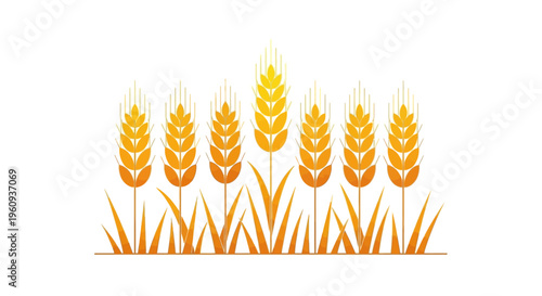 Minimalist Golden Wheat Grain Ears Vector Illustration for Bakery and Harvest Theme Agriculture Design