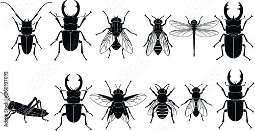 Silhouettes of insects including beetles, flies, dragonfly, grasshopper, and bee, representing entomology study, nature design, and educational artwork illustration