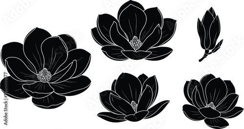 Stylized magnolia flower silhouettes in black and white, detailed blooming stages with botanical design perfect for floral vector illustration art