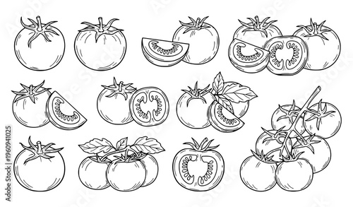 A set of black and white line drawings of various tomatoes and tomato slices