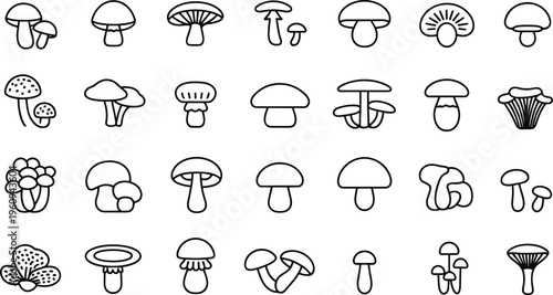 Mushroom vector set, fungi illustration, botanical drawing, nature silhouette, forest elements, organic shapes, biology design, educational art, black white