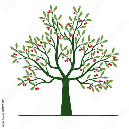 Green Tree with red Fruits. Outline Illustration. Plant in Garden.