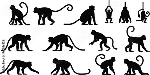 Monkey silhouettes collection, twelve poses, black outline, animal diversity, primate posture, walking monkeys, sitting monkeys, hanging monkeys, crouching, reaching