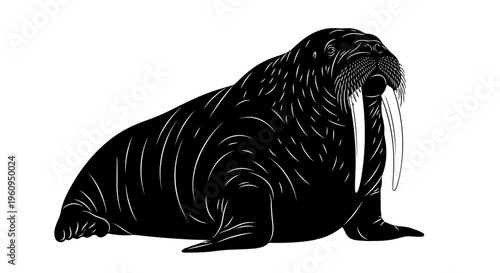 A black and white illustration of a walrus sitting