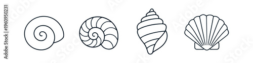 Collection of four distinct seashell outlines on a white background