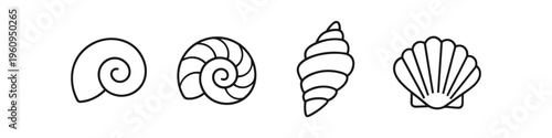 Collection of four distinct seashell and spiral shell line art icons on white background
