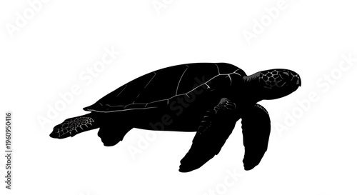 Black silhouette of a sea turtle swimming in the ocean