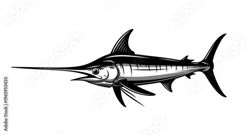 A black and white illustration of a marlin fish on a with a long bill and fins