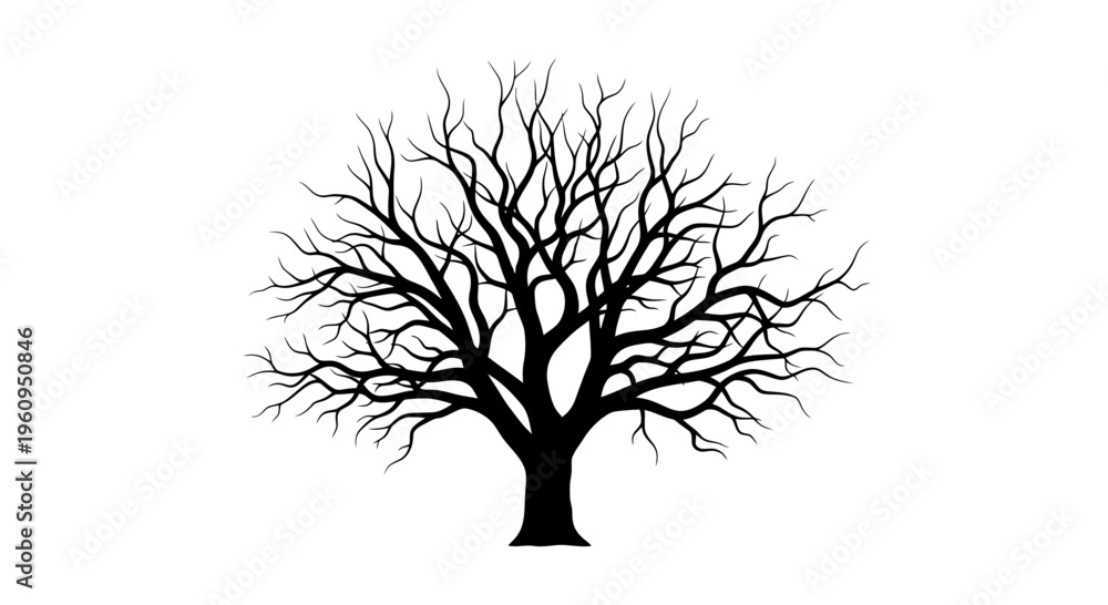 Fototapeta premium A black silhouette of a bare tree with many branches