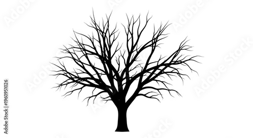 A black silhouette of a bare tree with many branches and no leaves visible clearly