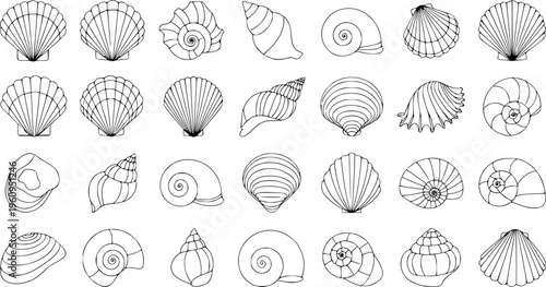 Diverse Sea Shell Outline Collection - Minimalist Ocean Snail and Scallop Line Art Vector Set