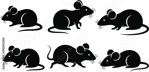 Mice or rats in various poses. Rodents sitting, standing, and running. 