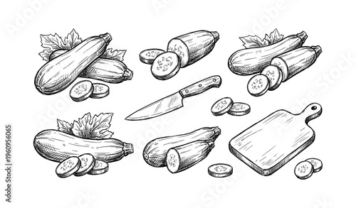 Hand-drawn zucchini and knife illustrations with cutting board on white background