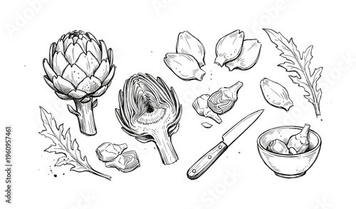 Hand-drawn artichoke sketch with knife and bowl in black and white line art