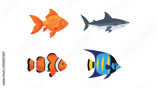 A colorful illustration featuring four different types of ocean fish.