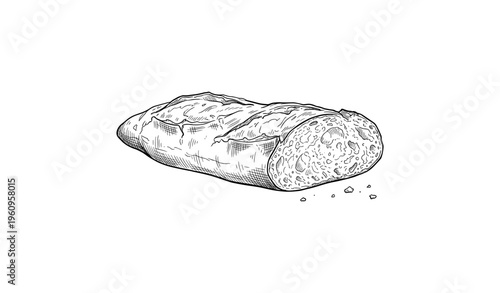 Hand-drawn illustration of a rustic baguette loaf with crumb texture