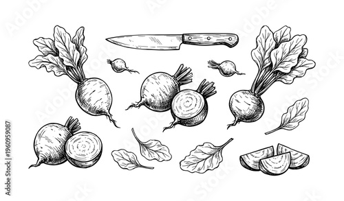 Hand-drawn beetroot and knife illustration with leaves and slices