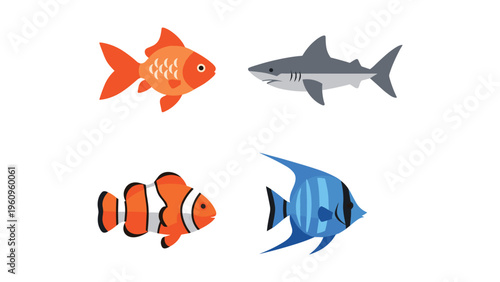 Four distinct types of underwater marine creatures swimming in the ocean depths