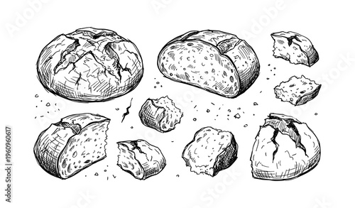 Hand-drawn rustic bread loaves and slices on white background