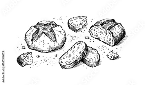 Hand-drawn rustic bread loaves and slices with crumbs on white background
