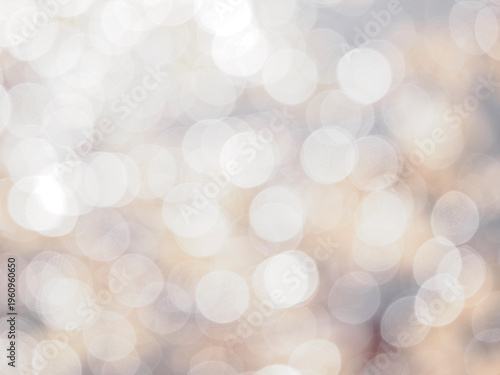 森に差し込む明るく眩しい日差しの風景。木漏れ日。葉っぱの反射。ゆらゆらする玉ボケ。穏やかな自然風景