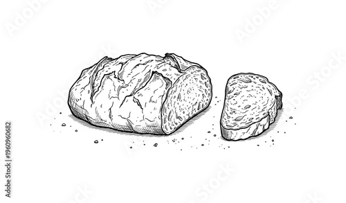 Hand-drawn rustic bread loaf and slice on white background