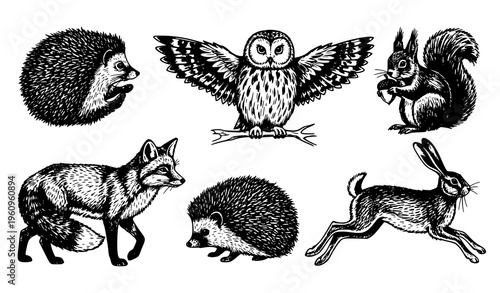 Black brush stroke woodland animal collection vintage ink sketch