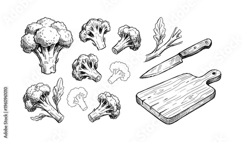 Hand-drawn broccoli and kitchen tools illustration: knife, cutting board, and herbs