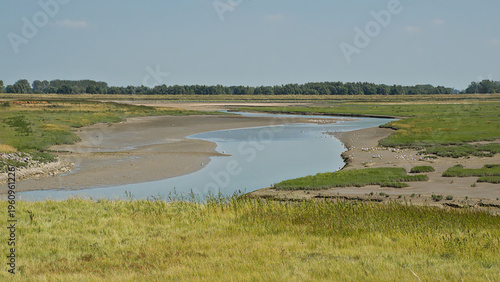 Billede på lærred tidal creek thorugh sandy flats in Het Zwin nature reserve along the north sea c