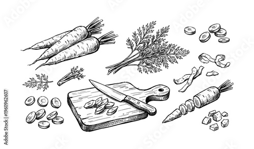 Hand-drawn carrot sketches with cutting board knife and slices